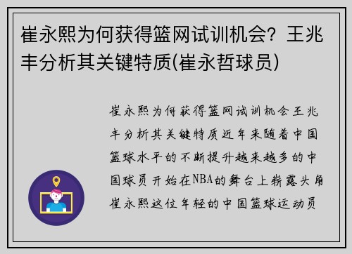 崔永熙为何获得篮网试训机会？王兆丰分析其关键特质(崔永哲球员)