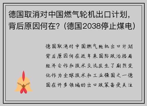 德国取消对中国燃气轮机出口计划，背后原因何在？(德国2038停止煤电)