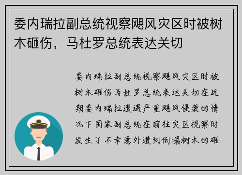 委内瑞拉副总统视察飓风灾区时被树木砸伤，马杜罗总统表达关切
