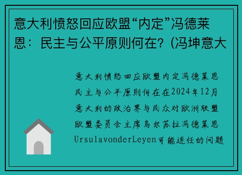 意大利愤怒回应欧盟“内定”冯德莱恩：民主与公平原则何在？(冯坤意大利)